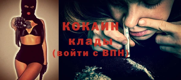стаф Алзамай