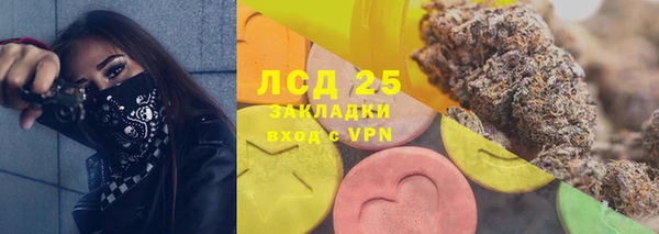 стаф Алзамай