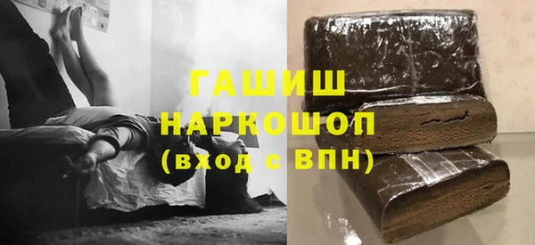 стаф Алзамай