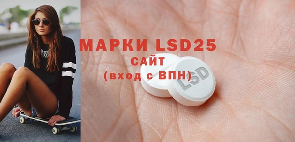 стаф Алзамай