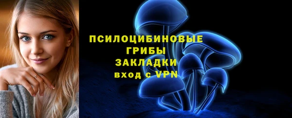 стаф Алзамай
