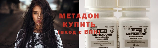 стаф Алзамай