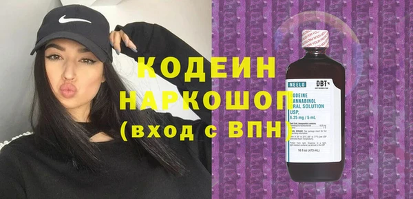 стаф Алзамай