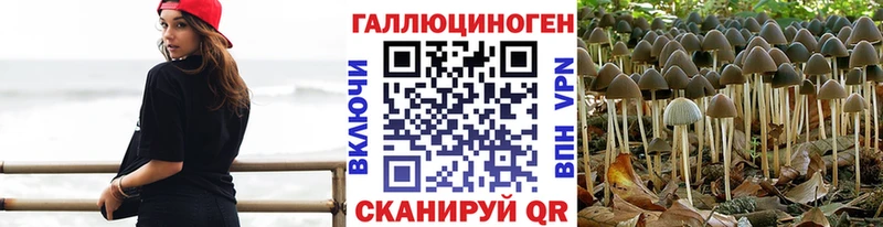 Галлюциногенные грибы мухоморы  Купить  Сенгилей 