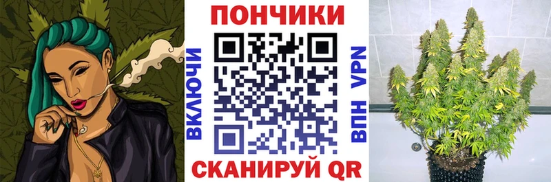 Купить  Сенгилей  Марихуана Ganja 